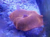 20160926_190712.jpg