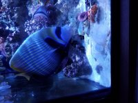 20160712_233618.jpg