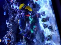 20160712_233624.jpg