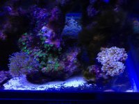 IMG_4124.jpg