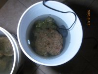 IMG_2728.jpg
