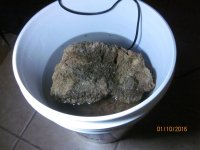 IMG_2726.jpg