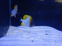 DSCN5167.jpg