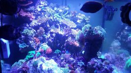 20160224_151101.jpg