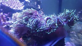 20160224_145031.jpg