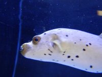 DSCN5121.jpg