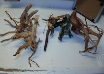 IMG_8318.jpg