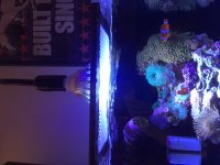 IMG_0748.JPG