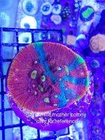 IMG_1037.jpg