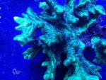 IMG_3997.jpg