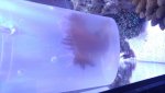 20160224_174612.jpg