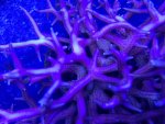 IMG_3998.jpg
