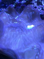 IMG_3589.jpg