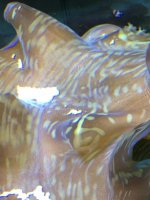 IMG_3591.jpg