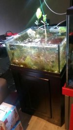 IMG_1804.jpg