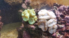 20160807_174747.jpg