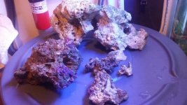 20160224_225204.jpg