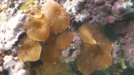 20160807_181133.jpg
