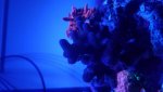 20161029_090929.jpg