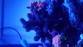 20161029_091010.jpg