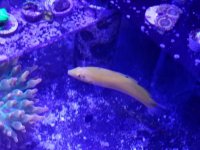 20161103_195152.jpg