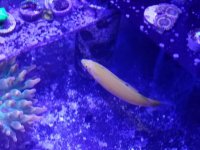 20161103_195151.jpg