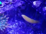 20161103_195150.jpg