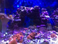 IMG_0567.jpg
