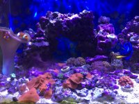 IMG_0569.jpg