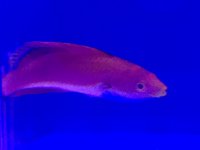 IMG_4839.JPG
