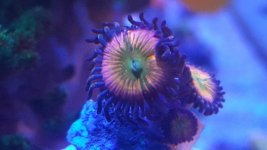 20160422_220311.jpg