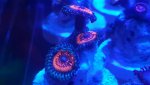 20160422_220236.jpg