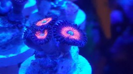 20160422_220225.jpg