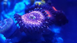 20160425_121217.jpg