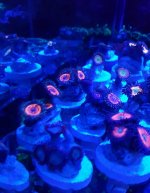 20160425_124426-1.jpg