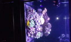 28gal. cube.jpg