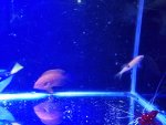 20160712_113712.jpg