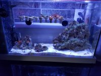 20161001_134248.jpg