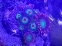 20160716_112607.jpg