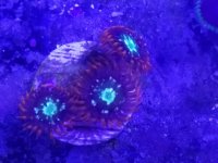 20160716_112556.jpg