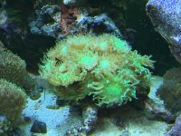 IMG_1120[1].jpg