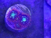 20160716_112546.jpg