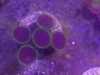 20160716_112443.jpg