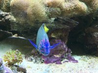 IMG_1135[1].jpg