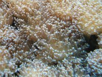 pic 090 small.jpg
