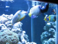 38008mini-IMG_0319.jpg