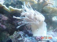 DSC01319.jpg