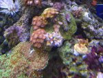 DSCN3159.jpg