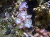 DSCN3158.jpg