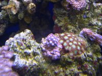 DSCN3157.jpg